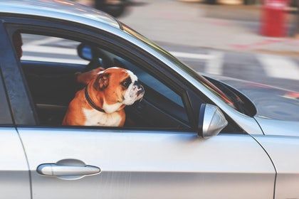 Port Orchard Car insurance